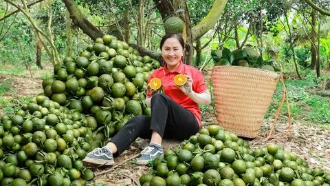 Top 10 trường THPT dễ trúng tuyển lớp 10 nhất TP.HCM năm 2025_Ứng dụng rút ngắn video